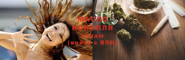 амф Гусь-Хрустальный