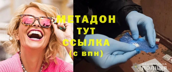 амф Гусь-Хрустальный