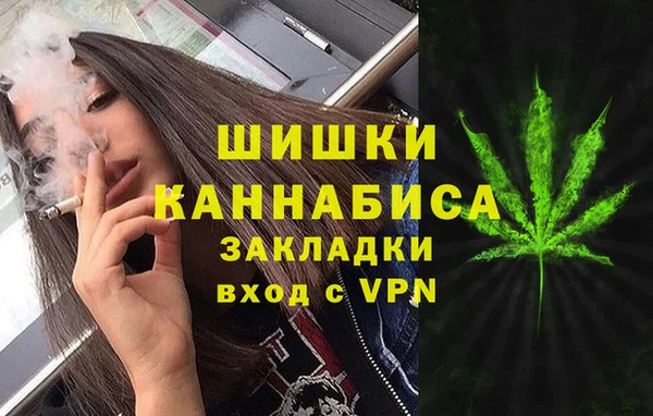 амф Гусь-Хрустальный
