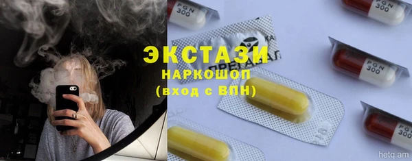 амф Гусь-Хрустальный
