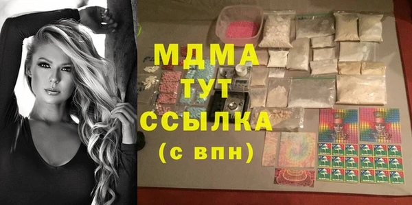 амф Гусь-Хрустальный