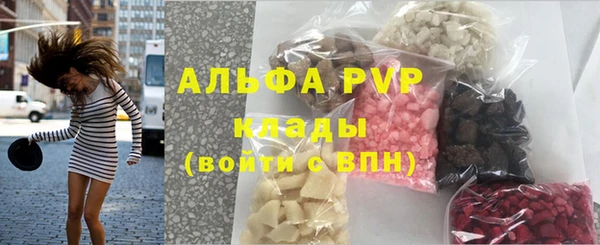 амф Гусь-Хрустальный