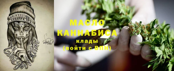 амф Гусь-Хрустальный